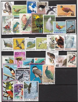 50 Adet / grup Kuş Tüm Farklı Birçok Ülkede HİÇBİR Tekrar Kullanılmayan Posta Pulları Toplamak için