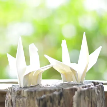 50 ADET Beyaz Katlanmış Origami Kağıt Vinç Premade El Yapımı Kuşlar düğün çelengi Parti Ev Dekorasyonu Bebek Duş Parti Iyilik