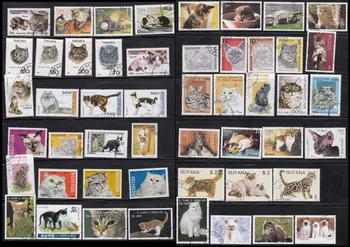 50 Adet / grup Kedi Hayvanlar Tüm Farklı Birçok Ülkede HİÇBİR Tekrar Kullanılmayan Posta Pulları Toplamak için